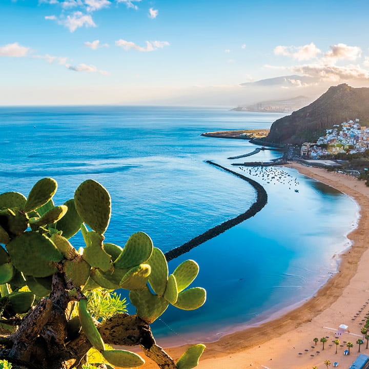 A view over Tenerife in the summer, Canary Islands